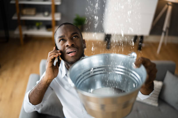 Best Water damage contractors near me  in Uniontown, OH