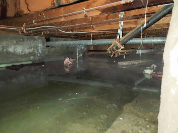 Best Water damage mitigation services  in Uniontown, OH
