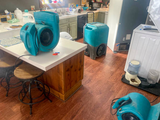 Best Water damage restoration cost  in Uniontown, OH