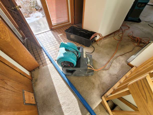 Best Water damage restoration mold remediation  in Uniontown, OH