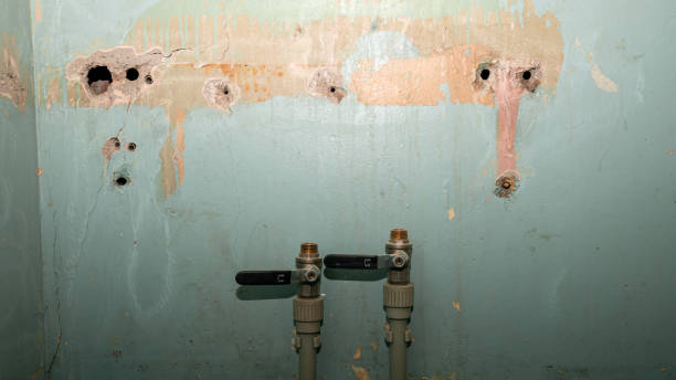 Best Residential water damage restoration  in Uniontown, OH