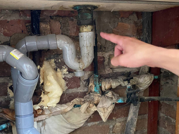 Best Basement water damage restoration  in Uniontown, OH