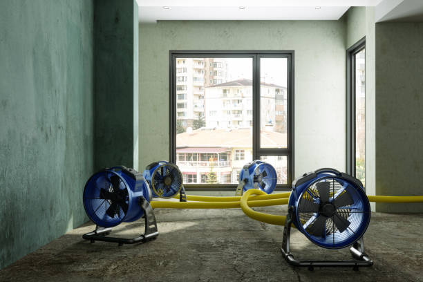 Best Ceiling water damage repair  in Uniontown, OH